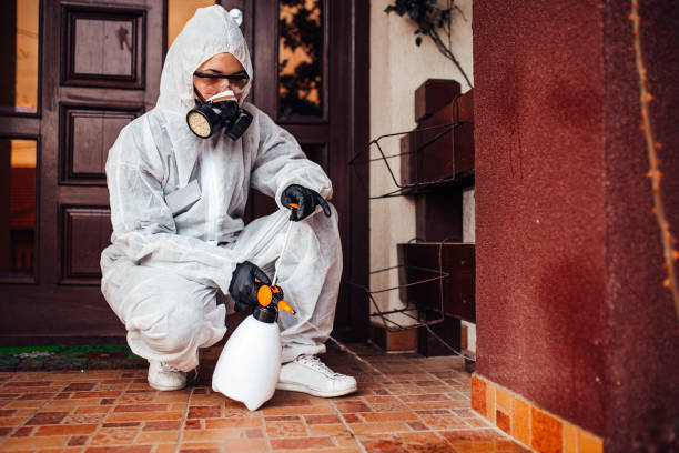 Reliable Wasp Removal contractor in Horseshoe Bay, TX by Show Me Pest Control